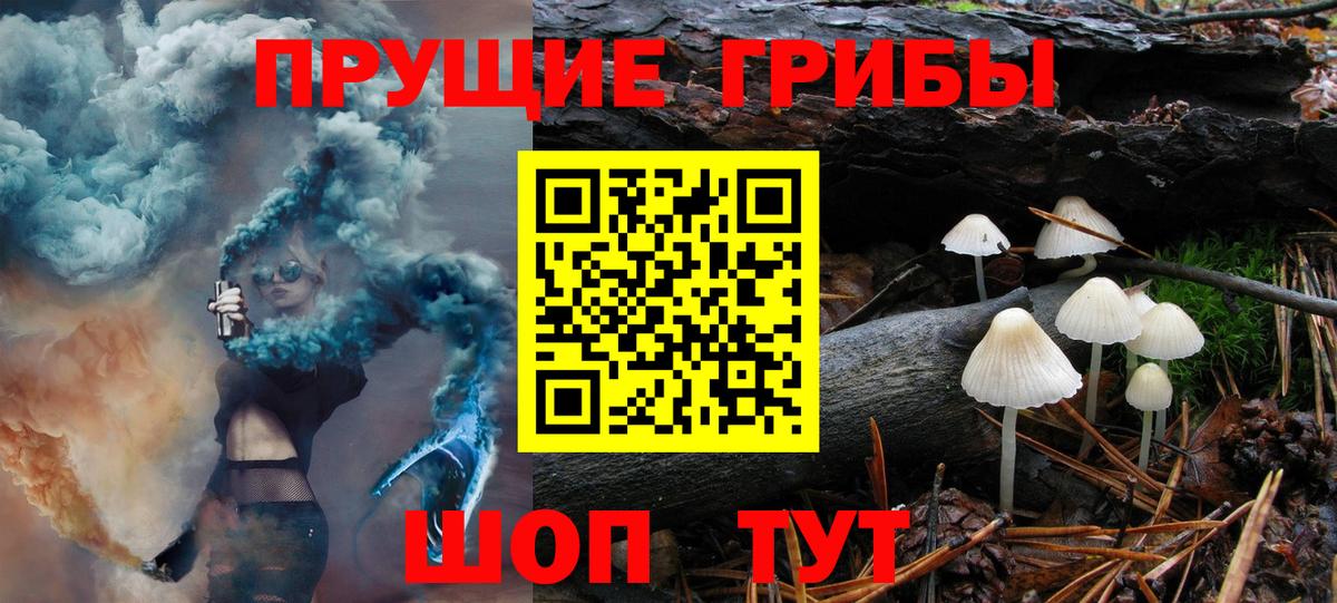 Псилоцибиновые грибы прущие грибы Жуковский