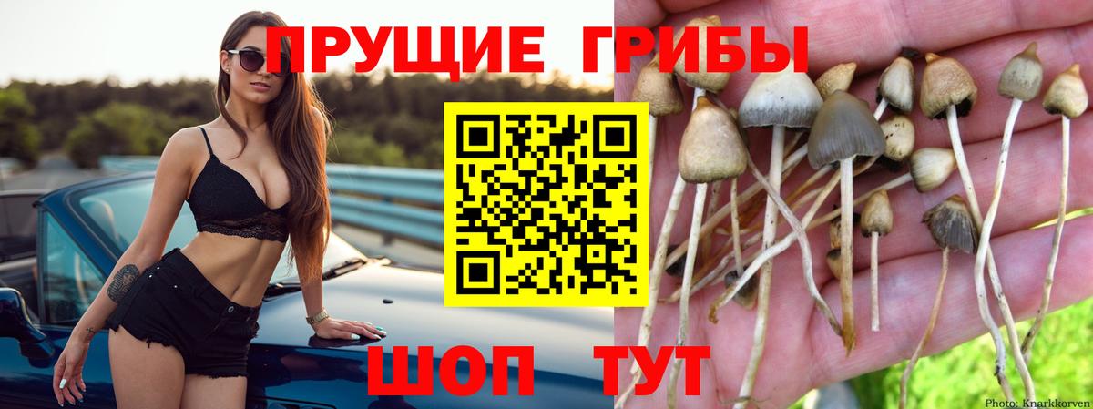 Галлюциногенные грибы Magic Shrooms  Вход с VPN  Жуковский  Псилоцибиновые грибы MAGIC MUSHROOMS 